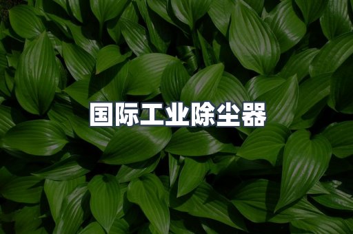 国际工业除尘器